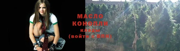 ешки Дмитровск