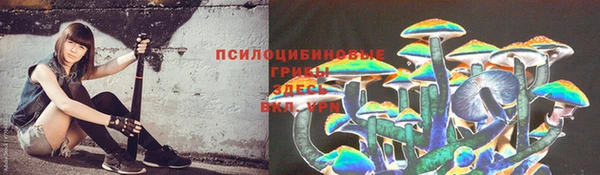 мескалин Дмитриев