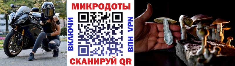 Псилоцибиновые грибы мицелий  наркотики  Окуловка 